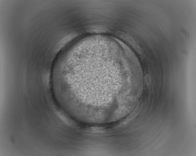 X0000113740159200910141011