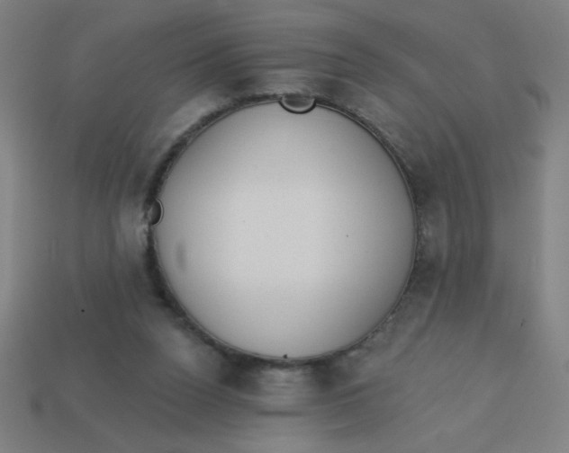 X0000113740160200910141011