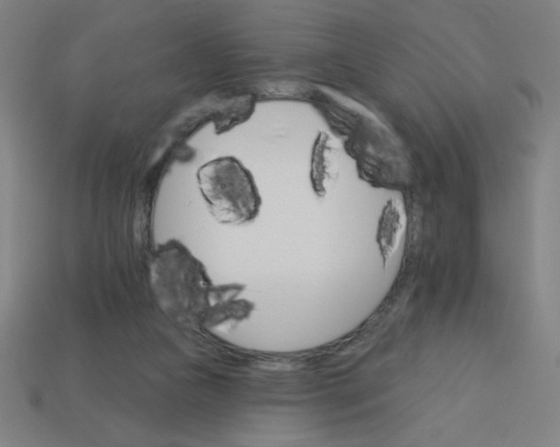 X0000113740161200910141011