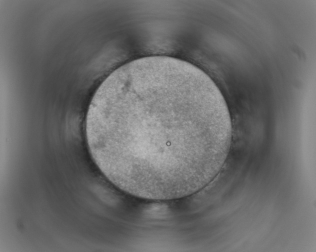 X0000113740162200910141011