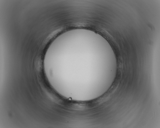 X0000113740164200910141011