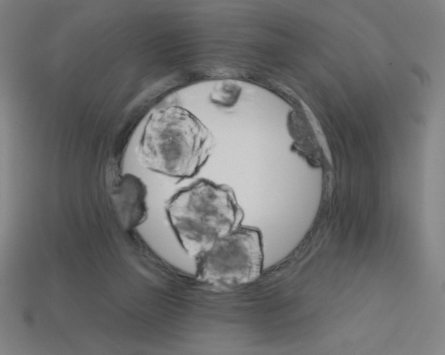 X0000113740165200910141011