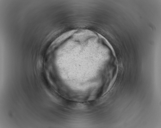 X0000113740166200910141011