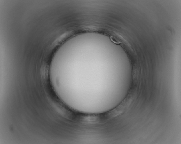 X0000113740168200910141011