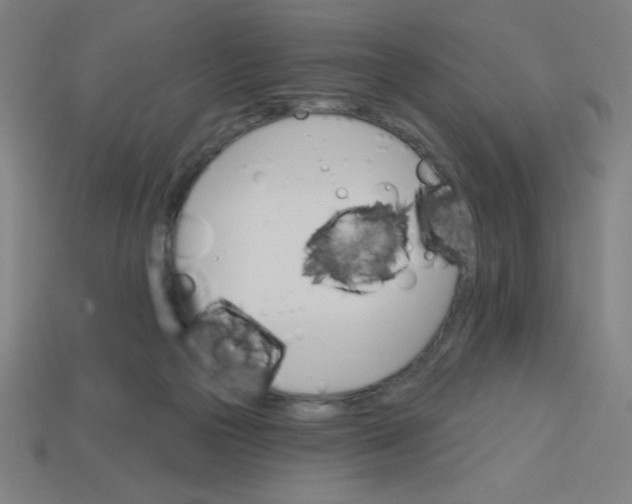 X0000113740169200910141011