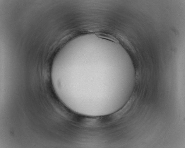 X0000113740170200910141011