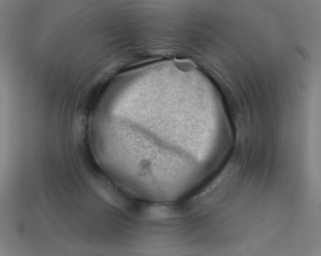 X0000113740171200910141011