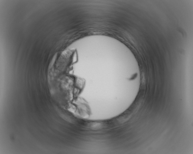 X0000113740173200910141012