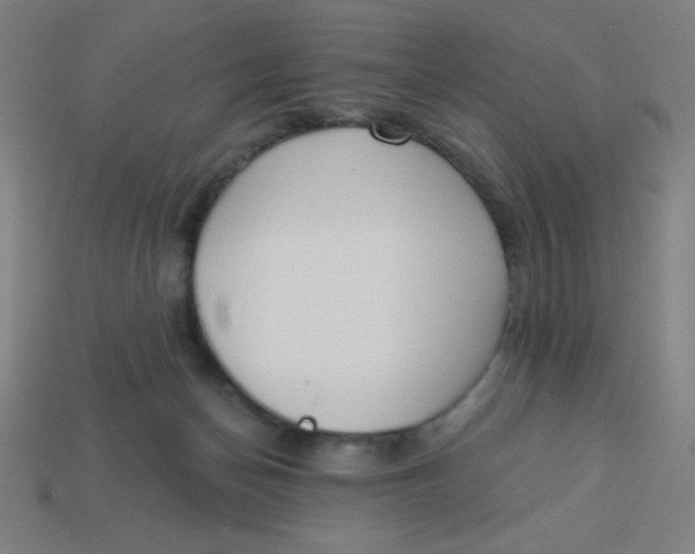 X0000113740174200910141012