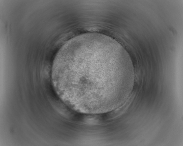 X0000113740175200910141012