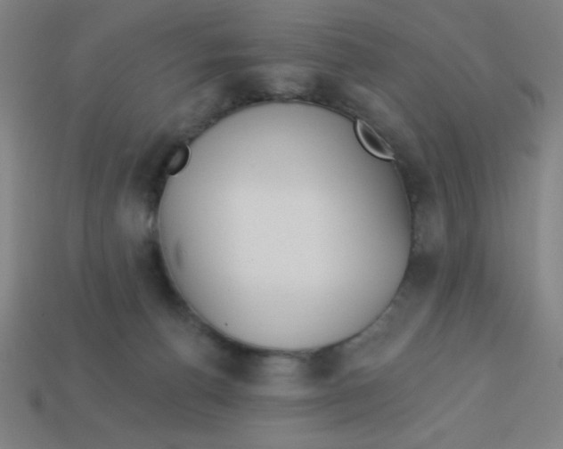 X0000113740176200910141012