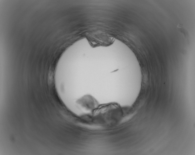 X0000113740177200910141012