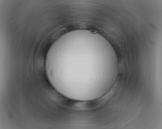 X0000113740178200910141012