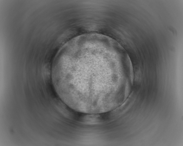 X0000113740179200910141012