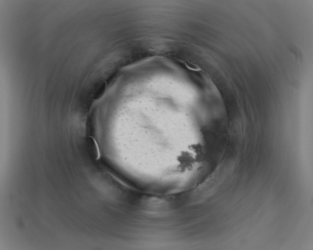 X0000113740180200910141012