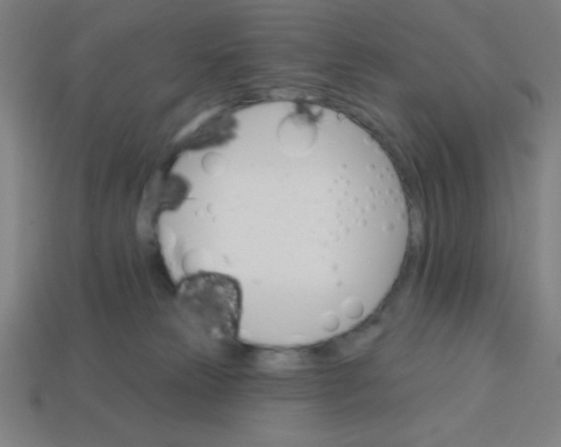 X0000113740181200910141012