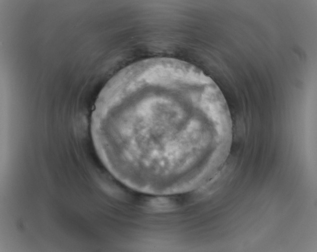 X0000113740183200910141012