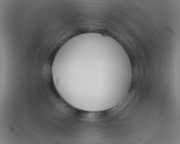 X0000113740184200910141012