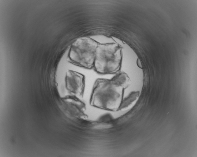 X0000113740185200910141012