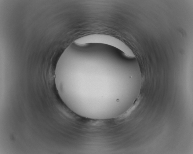 X0000113740186200910141012