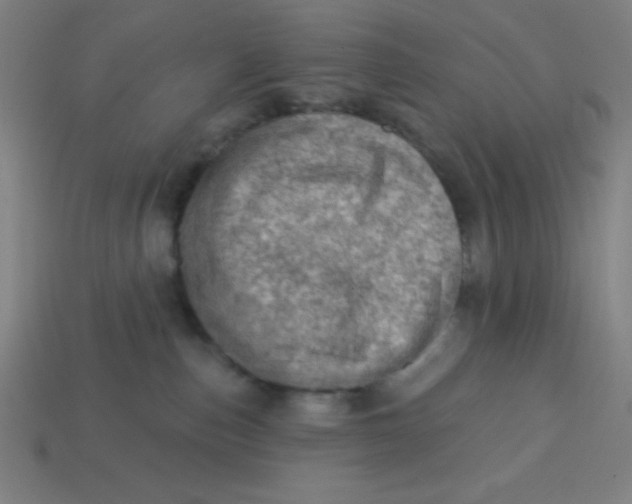 X0000113740187200910141012