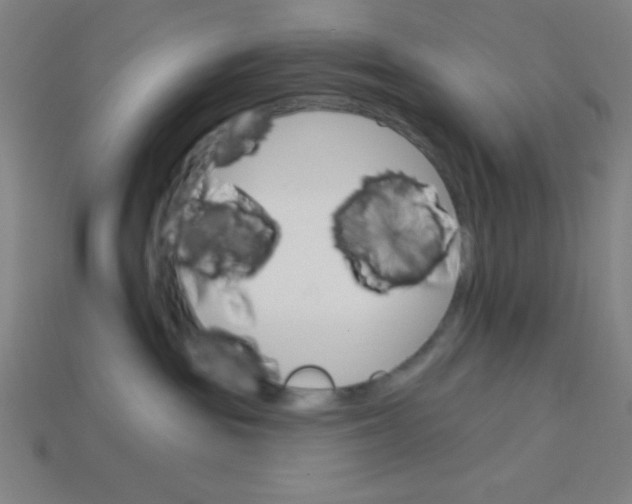 X0000113740189200910141012