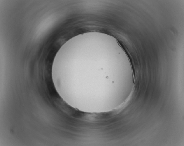 X0000113740190200910141012