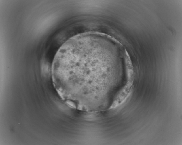 X0000113740191200910141012