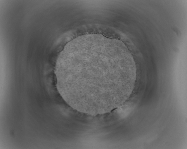 X0000113740192200910141012