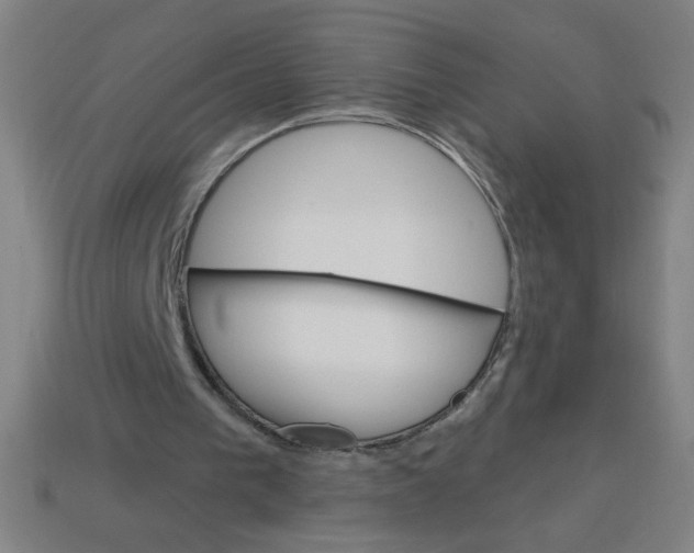 X0000113740193200910141011