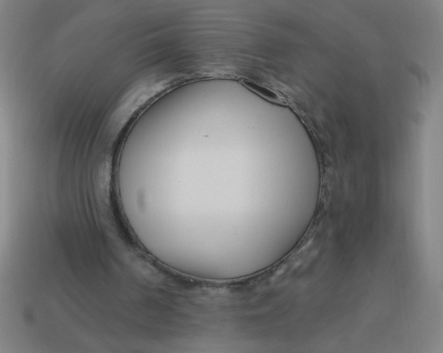 X0000113740194200910141011