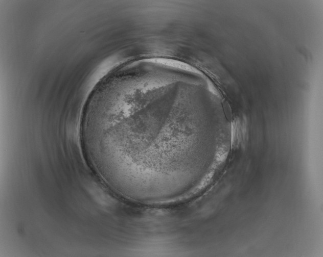 X0000113740195200910141011