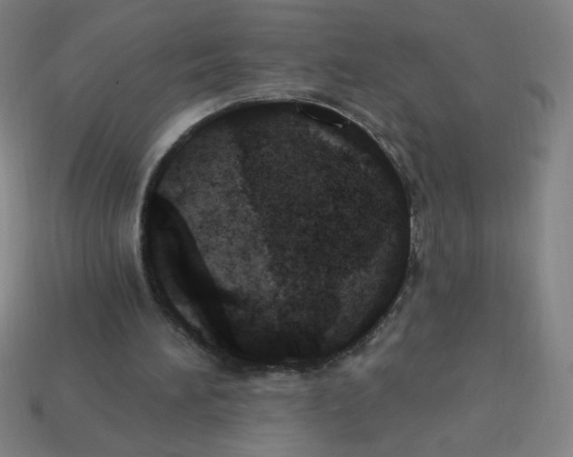 X0000113740196200910141011