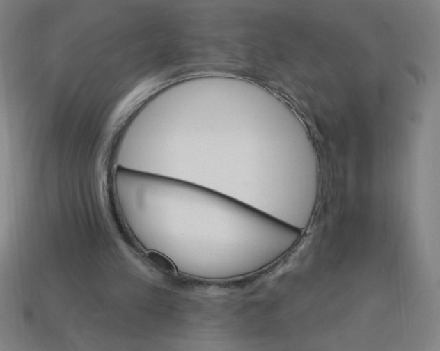 X0000113740197200910141011