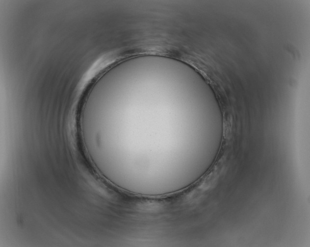 X0000113740198200910141011