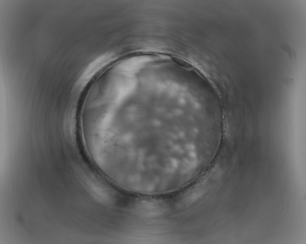 X0000113740199200910141011