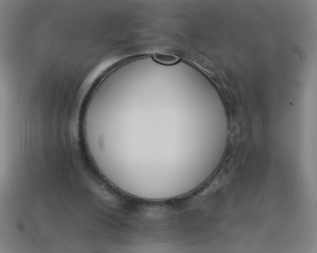 X0000113740200200910141011