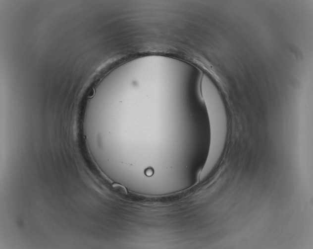 X0000113740203200910141011