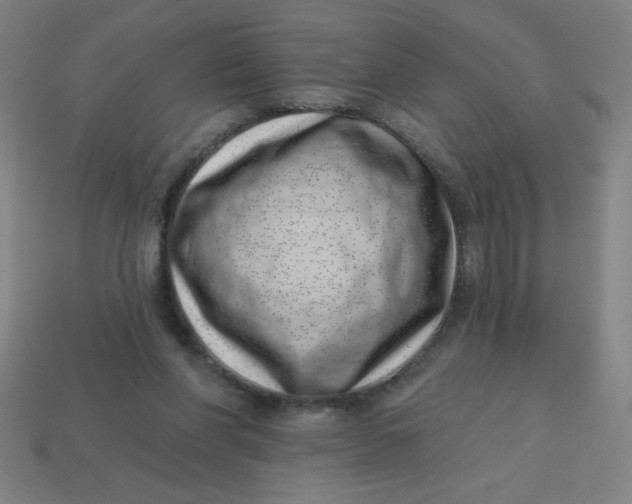 X0000113740206200910141011