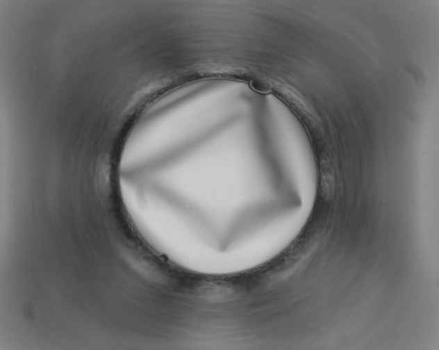 X0000113740207200910141011