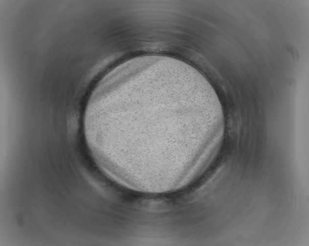 X0000113740208200910141011