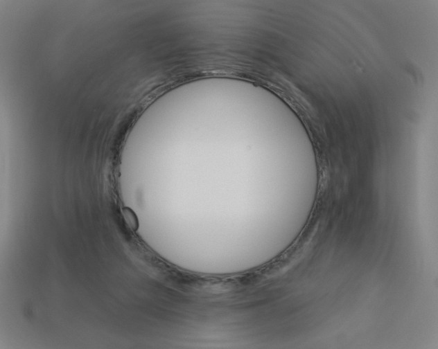 X0000113740209200910141011