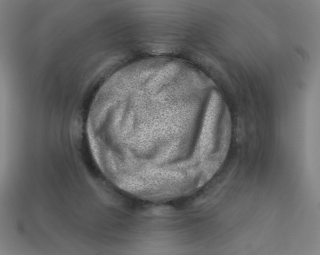 X0000113740210200910141011