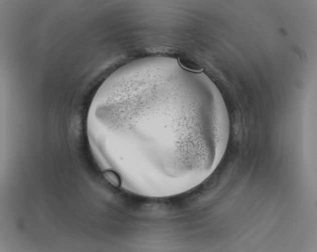 X0000113740211200910141011