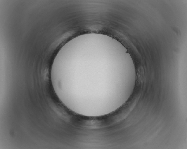 X0000113740212200910141011