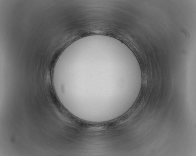 X0000113740213200910141011