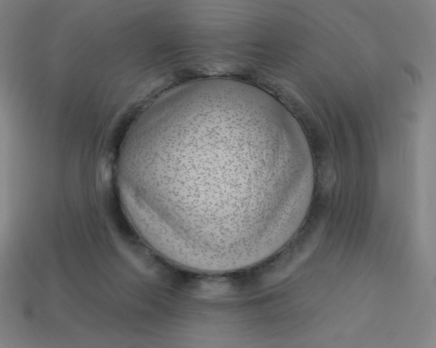 X0000113740214200910141011