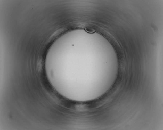 X0000113740216200910141011