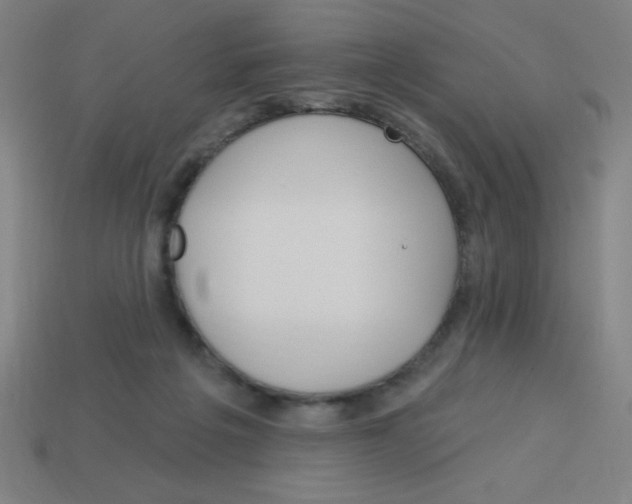 X0000113740217200910141011