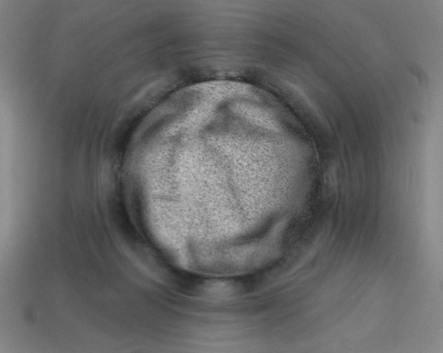 X0000113740218200910141011